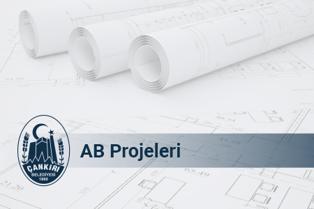 AB Projeleri